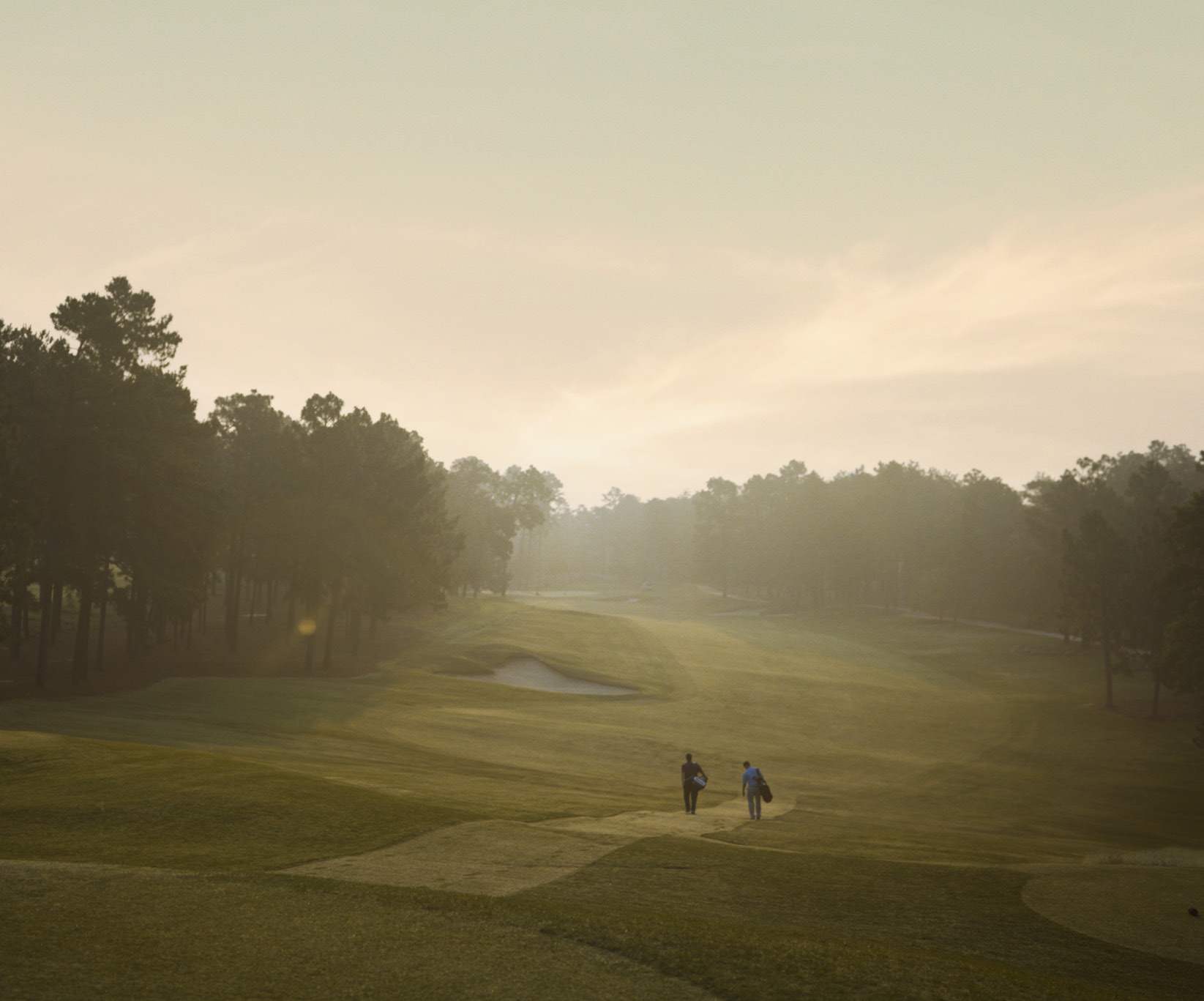 Championship fairway at golden hour