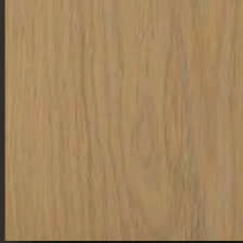 Stained Oak — Late Winter & Spring palette